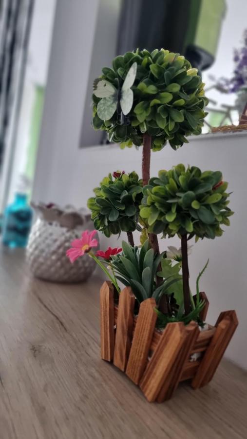 Apartament Daria Navodari Dış mekan fotoğraf